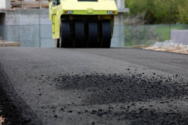 Best Local Driveway Pavers  in Argos, IN