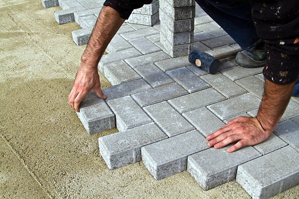 Best Driveway Paving Contractor  in Argos, IN